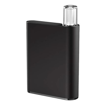 CCELL - Vape Batterie Palm - Schwarz